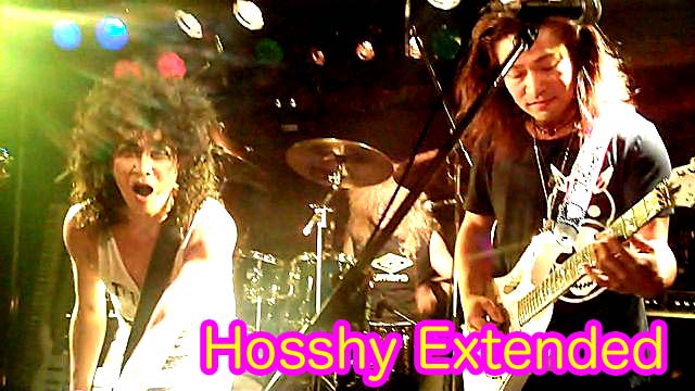 hosshy_extended